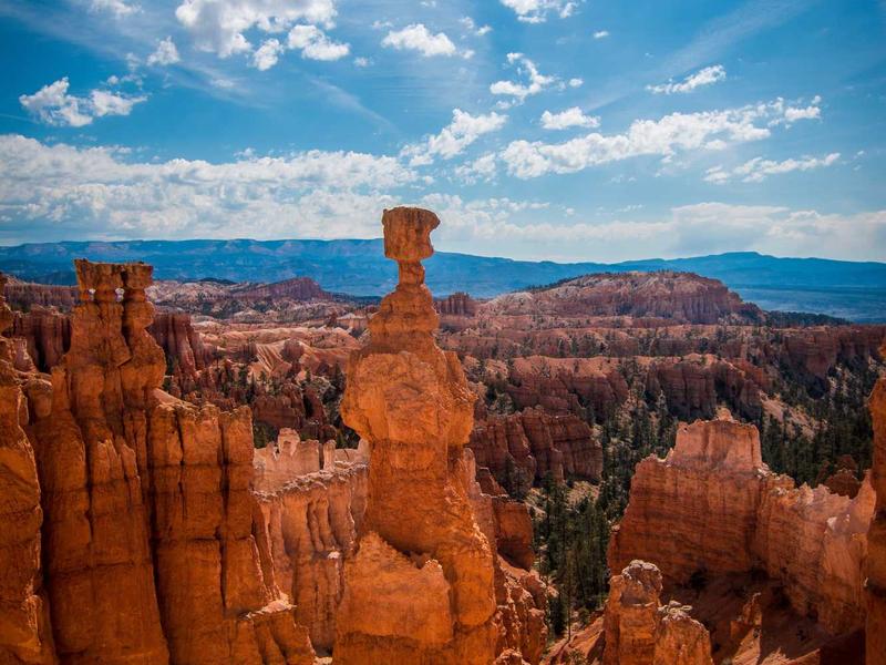 sudoku brain teaser screenshot 6